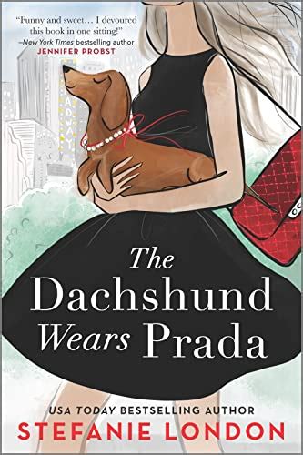 The Dachshund Wears Prada: A Rom Com (Paws in the City, 1)